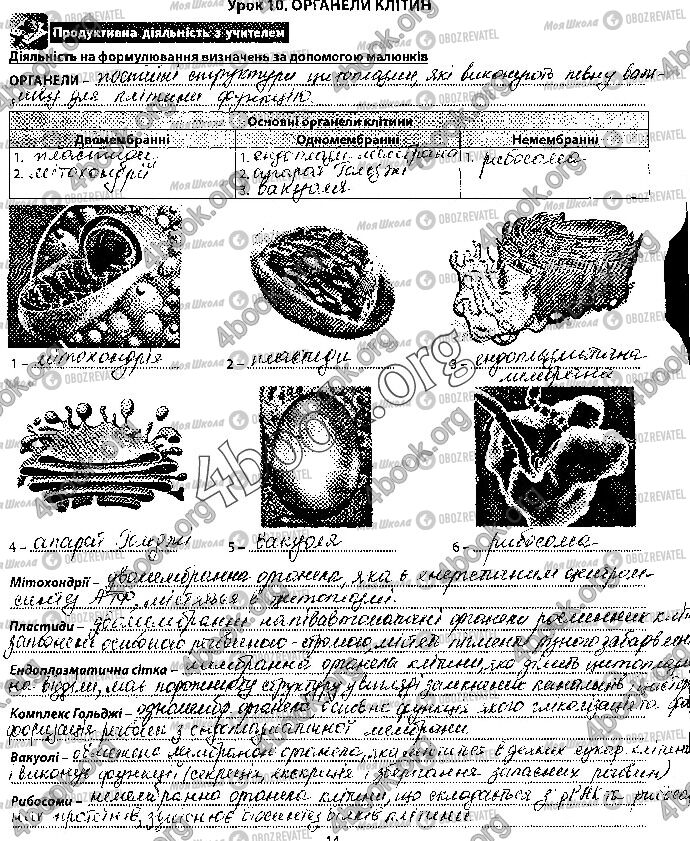 ГДЗ Биология 6 класс страница Стр.14